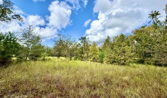 Eugene Ward Road, Adrian, GA 31002