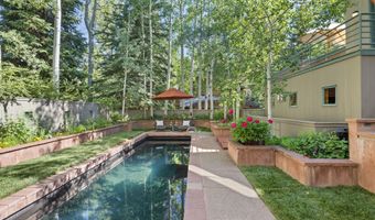 530 W Francis St, Aspen, CO 81611