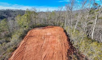 430 Live Oak Ter, Andrews, NC 28901