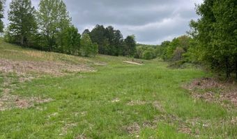 Co Rd 321 Route 5, Ava, MO 65608