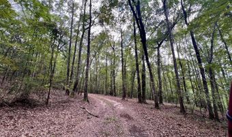 122 Whitehead Rd, Abbeville, AL 36310