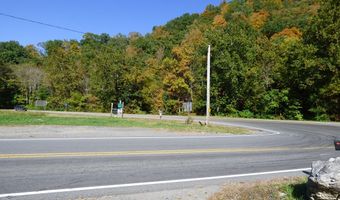Tbd Fort Chiswell Road, Austinville, VA 24312