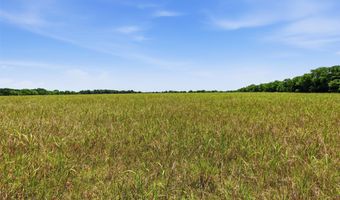 421 Chambers Creek Trl, Alvarado, TX 76009