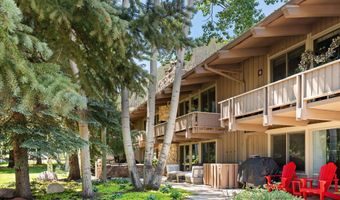 700 Ute Ave 213, Aspen, CO 81611