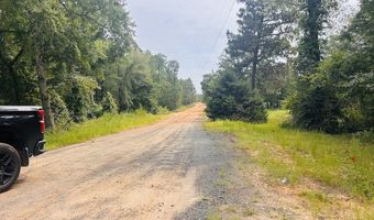 375 Village Ln, Mauk, GA 31058