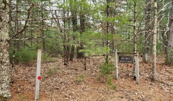 Dyke Avenue lot 8, Adams, WI 53910