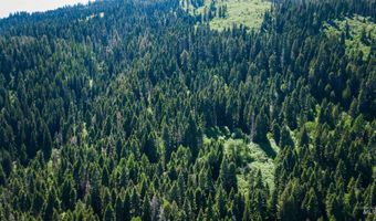 Burnt Wagon Trail, Cascade, ID 83611