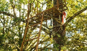 Henderson Rd, Batesville, MS 38606