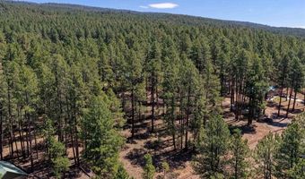 79 Spruce Way, Bayfield, CO 81122