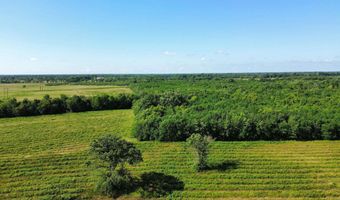 Pine Prairie Rd, Ashdown, AR 71822
