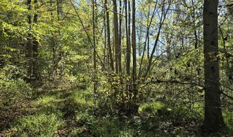 HURT HOLLOW RD, Banco, VA 22711