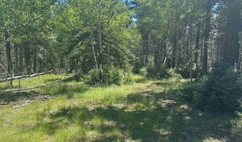 Calle de los Indios lot 73, Angel Fire, NM 87710