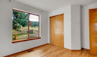 331 Bluebird Ln, Bailey, CO 80421