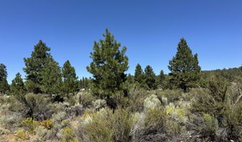 Bufflehead Drive 18, Bonanza, OR 97623
