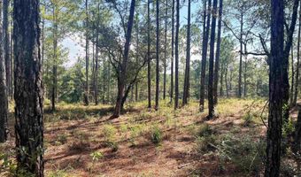 0 State Highway 225, Bay Minette, AL 36507