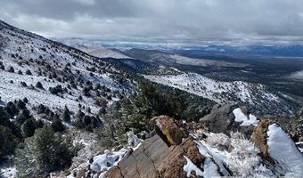 Tbd Pine nut Mountains, Minden, NV 89423