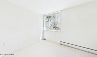 209 Larkspur Ln, Aspen, CO 81611