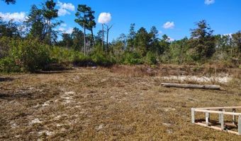 22884 NW Lake Mckinzie Blvd, Altha, FL 32421