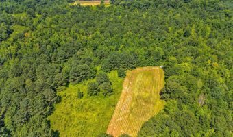 Alabama HWY 259, Alexander City, AL 35010