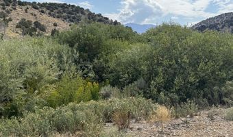 Old Ranch Road unit 1 1, Gardnerville, NV 89410
