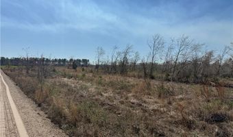 0 35.01 Acres Bacon School Rd, Alma, GA 31510