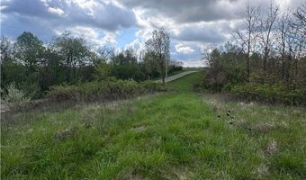 S State Route 555 13.230+- acres, Chesterhill, OH 43728