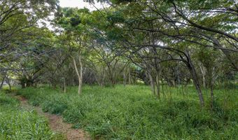 Kamehameha Highway lot 38, Haleiwa, HI 96712