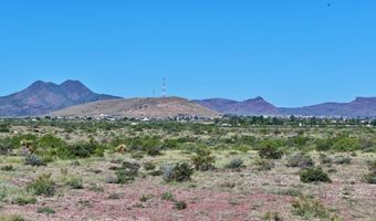 Tract 91 Sierra La Rana, Alpine, TX 79830