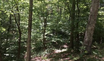 Damascus Road, Ball Ground, GA 30107