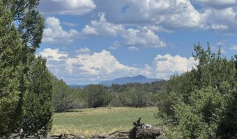 62 Cone Ln, Ash Fork, AZ 86320