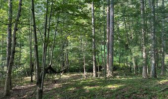 Lot 2B Gidsville Road, Amherst, VA 24521