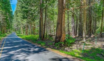 10 Timber Trail Ct, Arnold, CA 95223