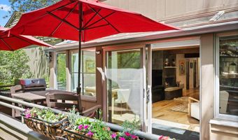 100 N 8th St 19, Aspen, CO 81611