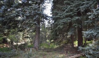 Vallecito Pl, Bayfield, CO 81122