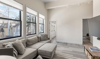 220 W Main Street Unit 210/P1/B6 210/P1/B6, Aspen, CO 81611