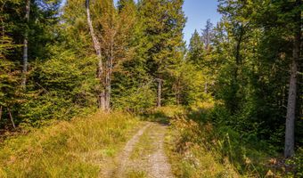 Lot 15-9 Beaver Bog Lane, Abbot, ME 04406