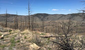 3600 Moondance Way, Bellvue, CO 80512