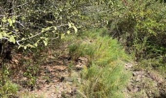 Highway 2 lot 43, Antlers, OK 74523