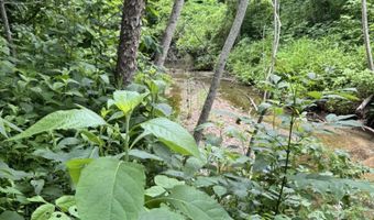 Geeville Road, Baldwyn, MS 38824