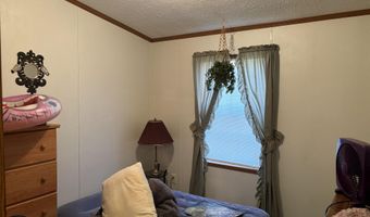 2054 Birchwood, Alger, MI 48610