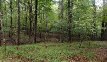 Anding Oil City Road, Bentonia, MS 39040