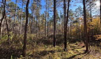 Hwy 9, Bruce, MS 38915