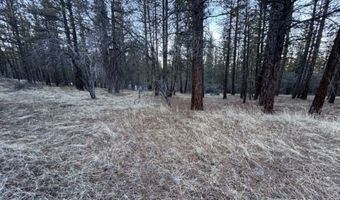 Bobcat Circle, Beatty, OR 97621