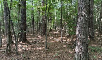 SW Auburn Drive, Bogue Chitto, MS 39629