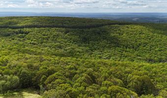 Arciel Drive, Albrightsville, PA 18210