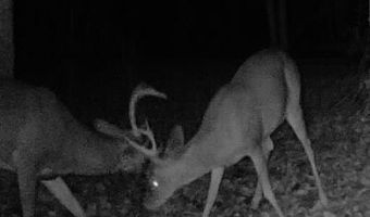 0 Old HWY 51 NE, Brookhaven, MS 39601