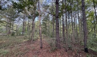 741 SE Hughs Hill Ln, Brookhaven, MS 39601