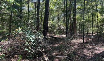 4496 State Hwy 130, Banks, AL 36005