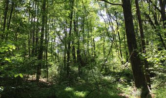 1800 Highway 4 E, Ashland, MS 38603