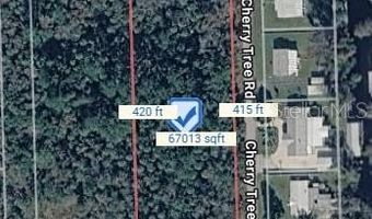 CHERRY TREE ROAD, Astor, FL 32102